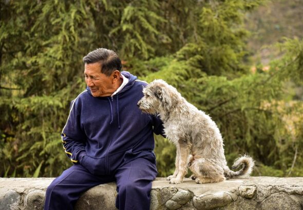 housebreaking older dogs
