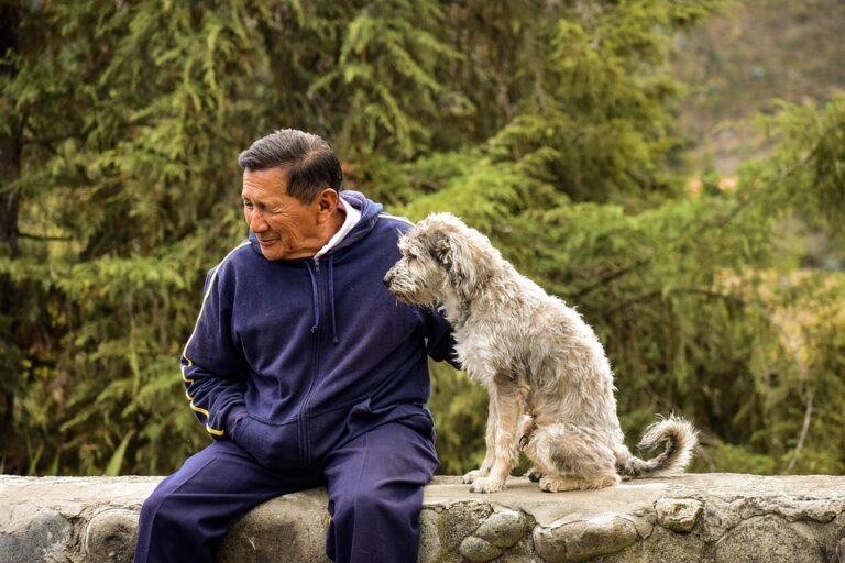 housebreaking older dogs