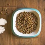 grain-free dog food risks