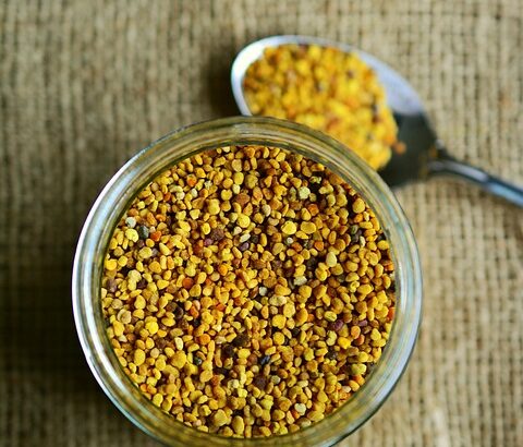 natural supplements for dogs