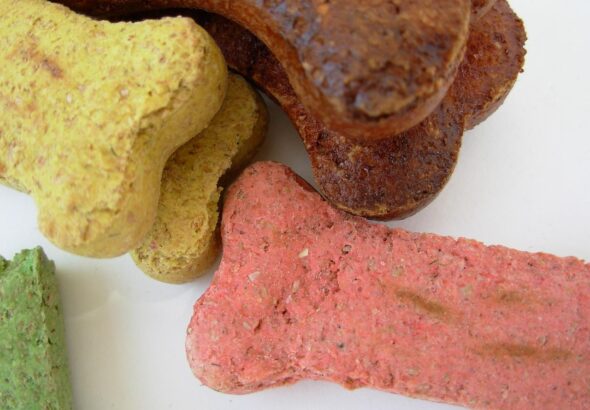 dog-bones-350092_1280