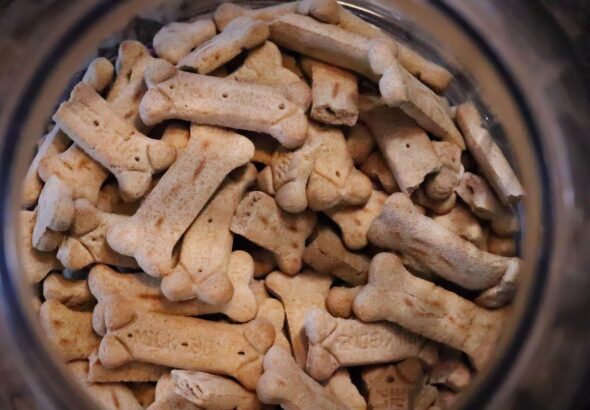 dog-treats-6870910_1280