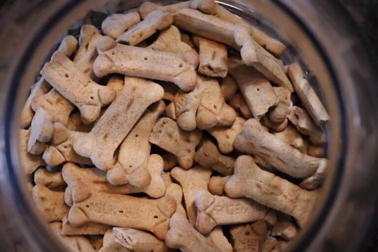 dog-treats-6870910_1280