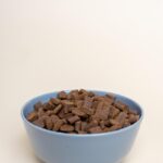 dry-dog-food-7336506_1280