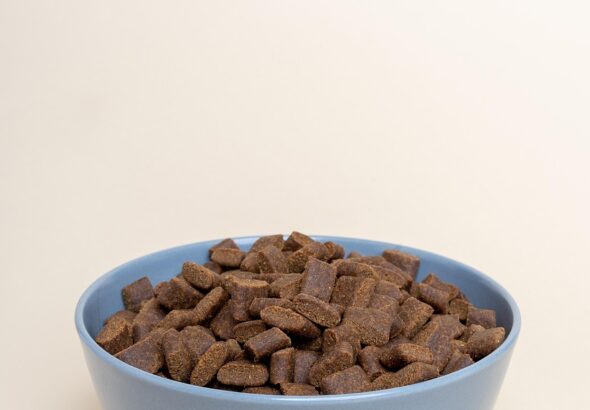 dry-dog-food-7336506_1280