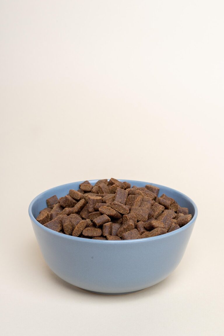 dry-dog-food-7336506_1280