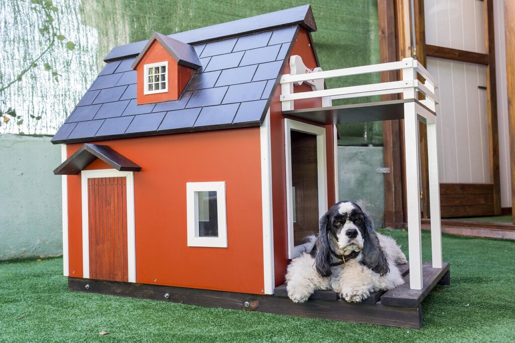 kennels-for-pets-3821861_1280