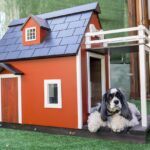 kennels-for-pets-3821861_1280