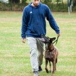 Advanced leash training for adults