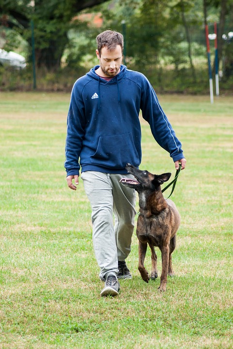 Advanced leash training for adults