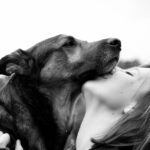 Building trust with adopted dogs