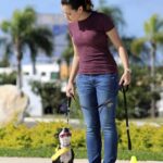 Training dogs to be quiet on command