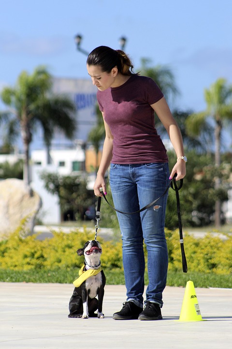 Training dogs to be quiet on command