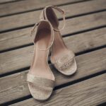 Heel command for adult dogs