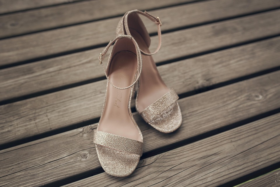 Heel command for adult dogs