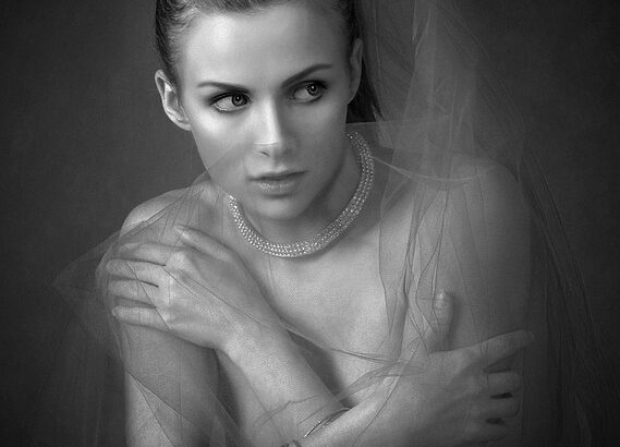 Training shy or fearful adult dogs