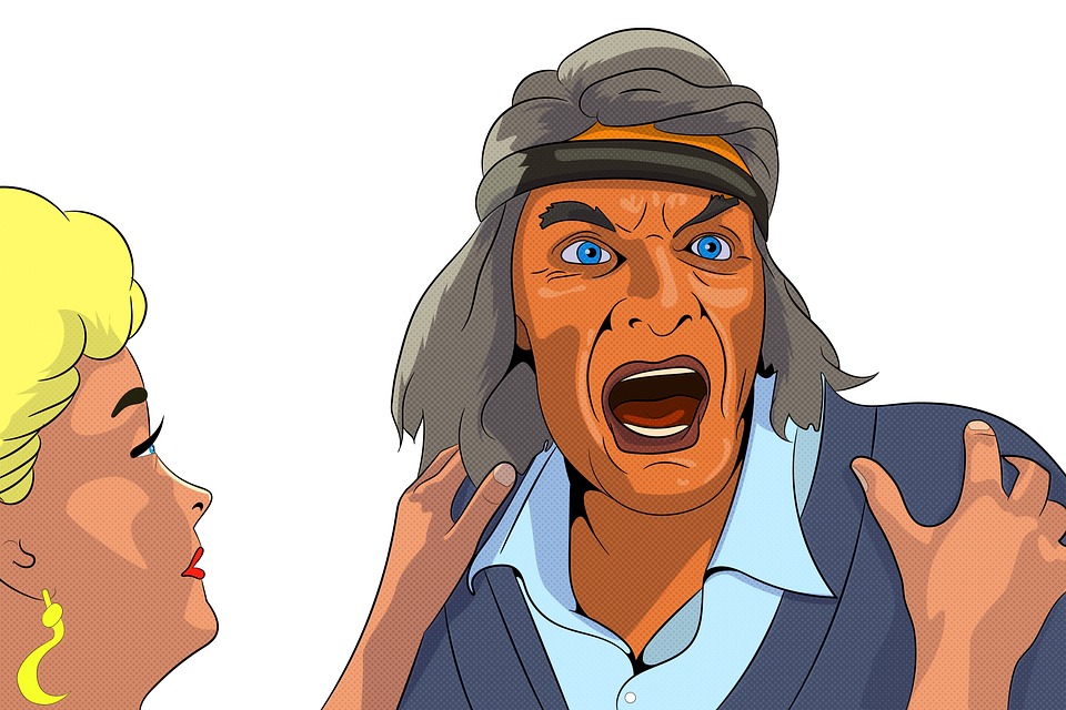 Rehabilitating aggressive adult dogs