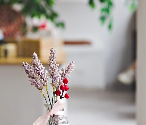 Training calm behavior indoors