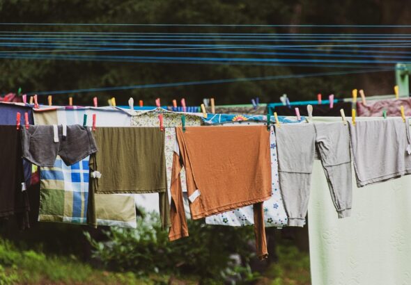 Multi-dog household training