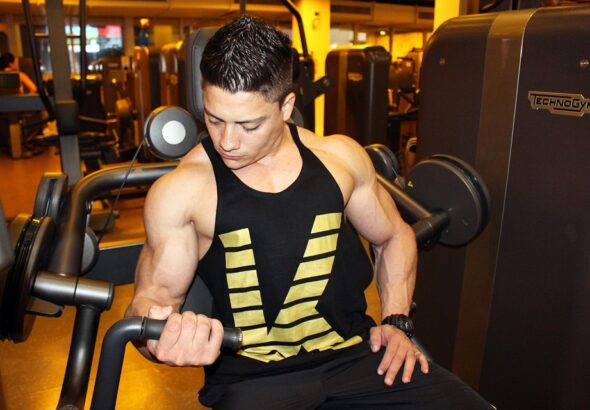 Training dogs to be gentle with kids